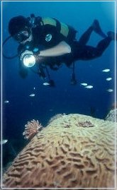 Scuba in Martinique 2001, Photo Credit : Laurent Kbaier